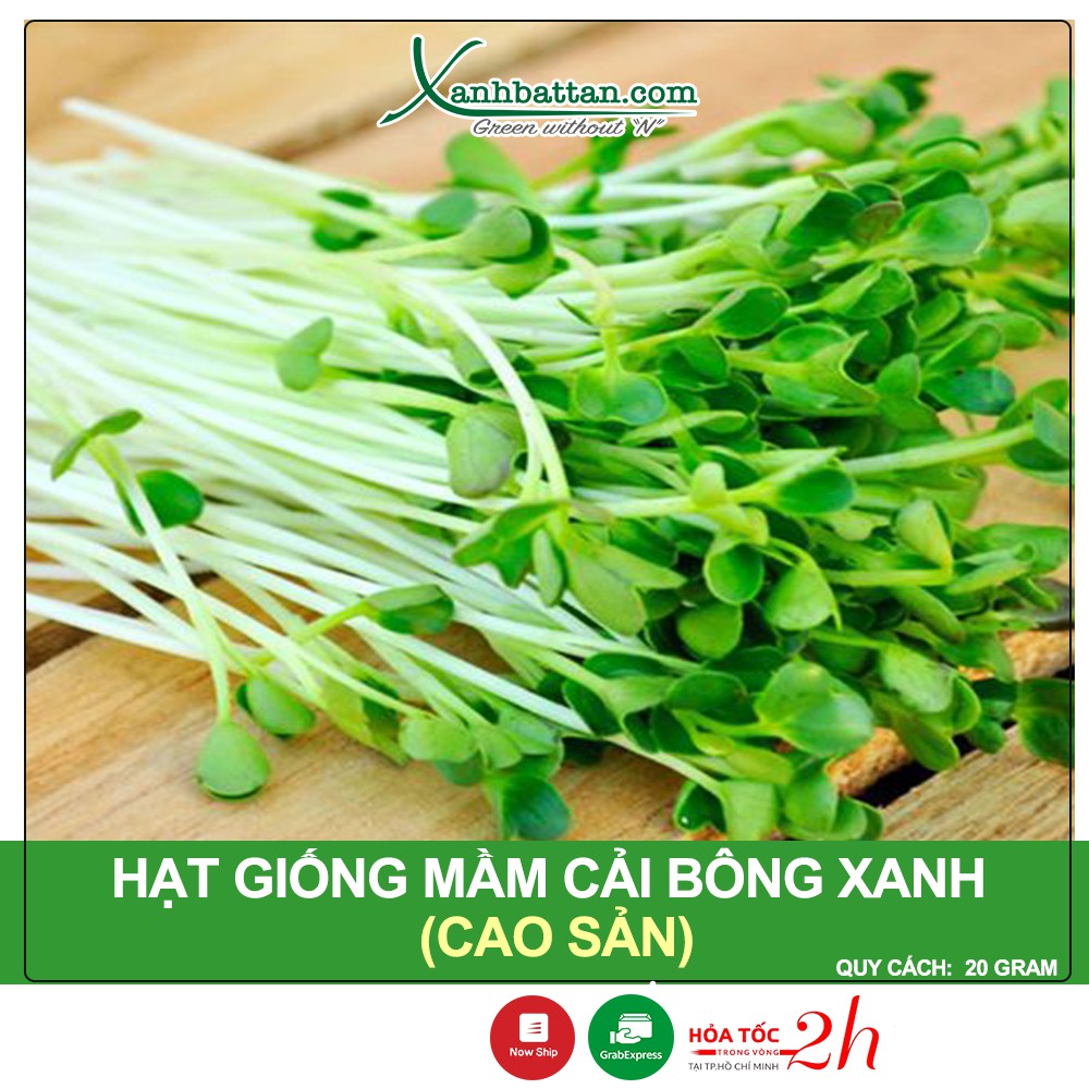 Hạt Giống Mầm Bông Cải Xanh Italia Phú Nông Gói 20 Gram