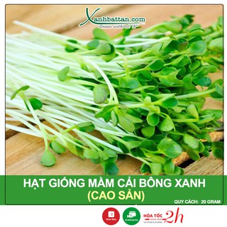 Hạt Giống Mầm Bông Cải Xanh Italia Phú Nông Gói 20 Gram