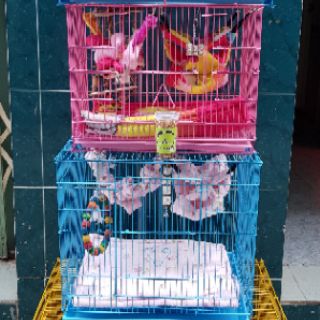 Lồng Sóc size trung
