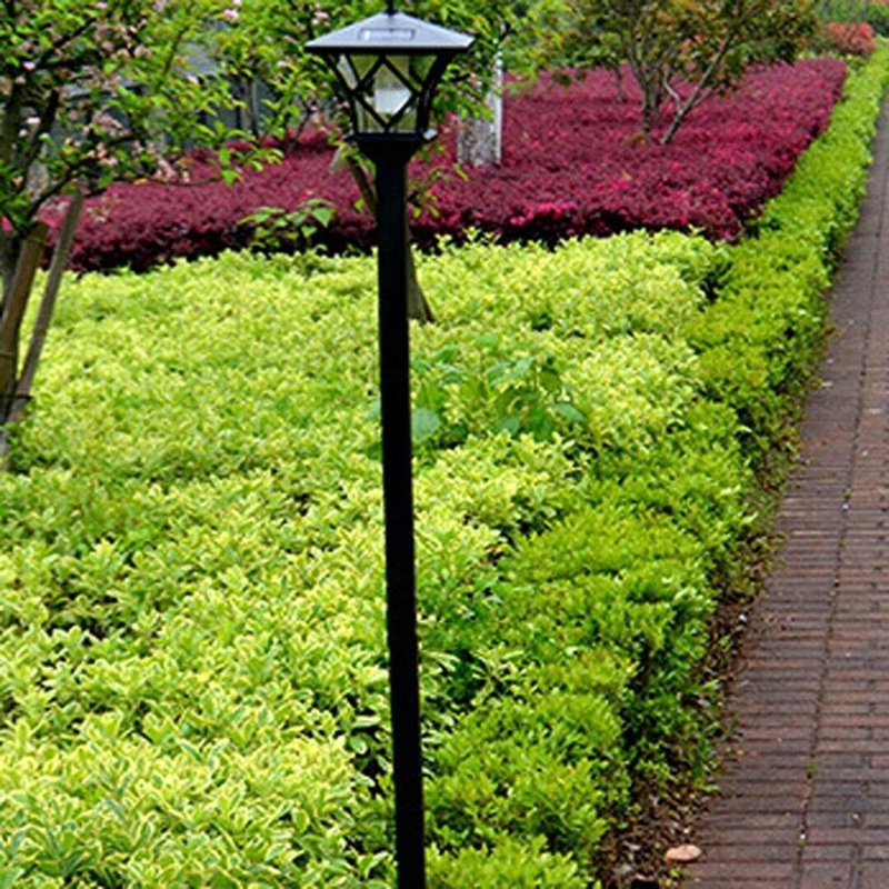 Dây Đèn LED 1.5M Trang Trí Sân Vườn Sử Dụng Năng Lượng Mặt Trời