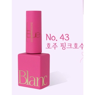 Combo son gel cao cấp Hàn Quốc ( vangie)