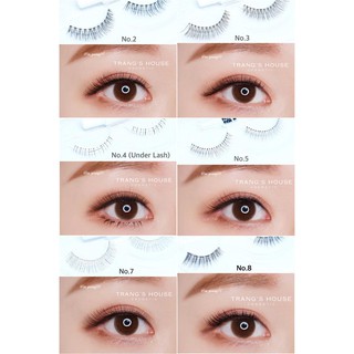 Mi Giả Aritaum Basic & Premium IDOL Lash