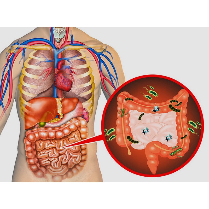 Viên Uống Nhuận Tràng Detox Kenton Diet Kokando Vỉ 50 Viên - Hỗ Trợ Tiêu Hóa, Giảm Cân An Toàn - Hàng Nhật Nội Địa Panda