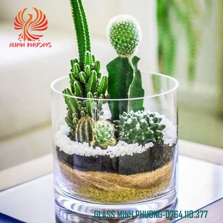 Bình bông thủy tinh trang trí D10X10, Bình cắm hoa thủy tinh trụ, lọ hoa hình trụ, trụ đổ đèn cầy, ống trụ tròn