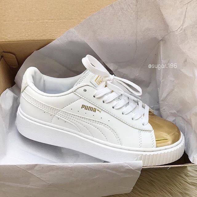 Puma puma.