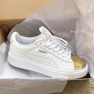 Puma puma.