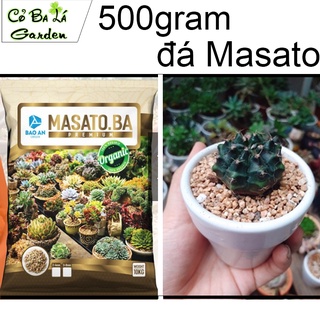 Đá masato giữ màu Sen đá Xương rồng, (500gram)