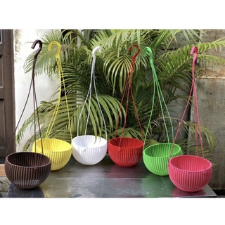 Chậu nhựa treo sọc gân nhiều màu