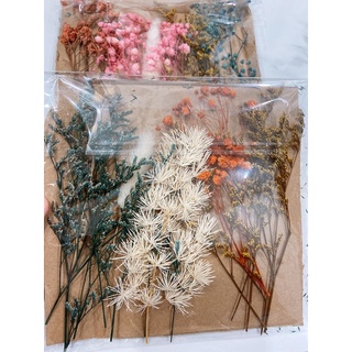 Hoa khô hỗn hợp chất lượng 🌻 FREESHIP 🌻trang trí thiệp, resin, bó hoa