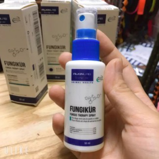 XỊT NẤM ALKIN FUNGIKUR 50ML - LỌ NẤM VIÊM DA CHÓ MÈO