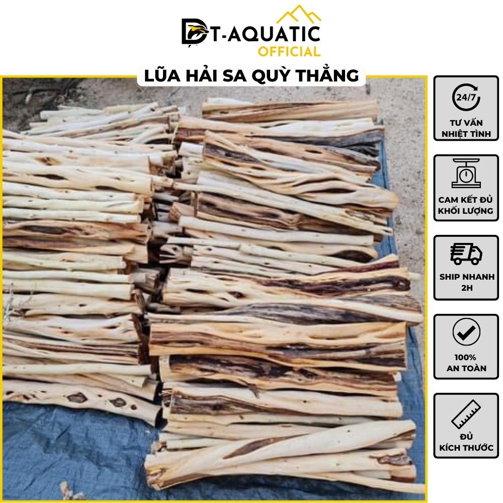 nguyên liệu setup hồ thuỷ sinh phong cách rừng