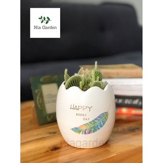 Chậu cây gốm sứ in – trứng nhỏ mini