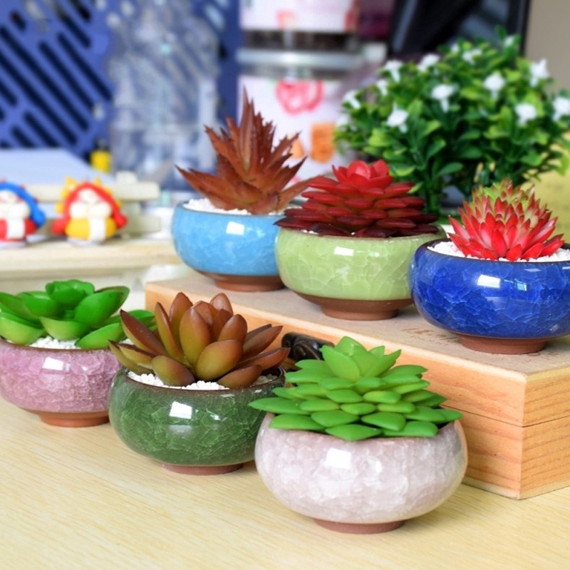 Chậu cây mini bằng gốm sứ dùng để trang trí