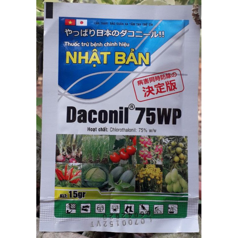 Thuốc trừ bệnh Daconil 75WP  - 15GR