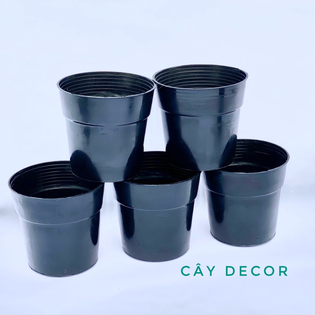 Chậu đen nhựa cứng kích thước nhỏ phù hợp ươm cây 10x9cm