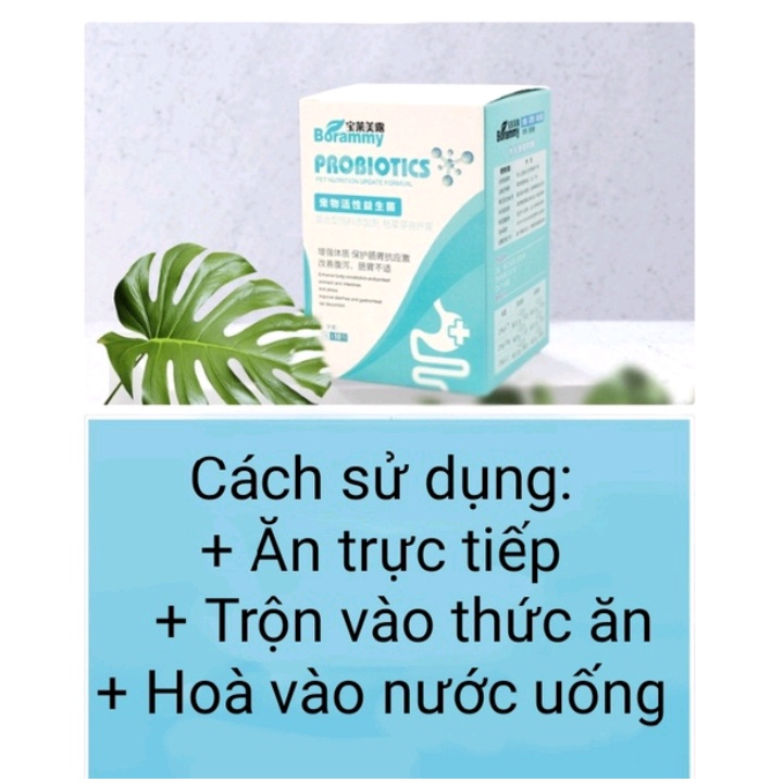 Hộp 10 gói Men vi sinh Men tiêu hóa cho chó mèo thú cưng Borammy - Hàng chính hãng có tem chống giả
