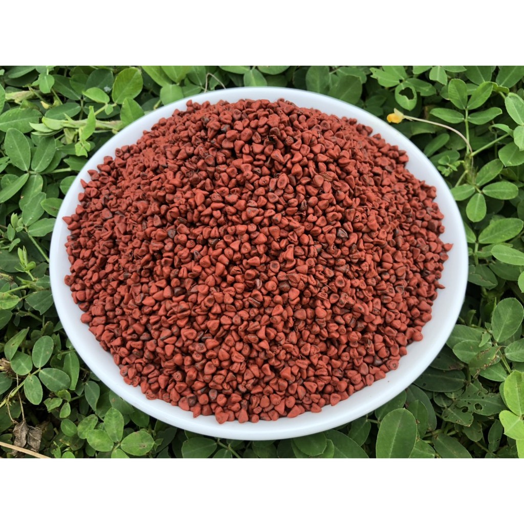 Hạt điều đỏ tạo màu - SỈ GIÁ TỐT