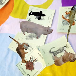 Bộ 31 thẻ ảnh animal 4d (chất liệu bìa giấy A4)