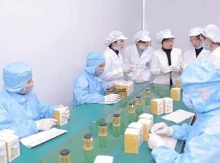 Mặt nạ yến tươi collagen