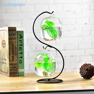 Chậu cây thủy tinh trong suốt dạng treo tiện dụng
