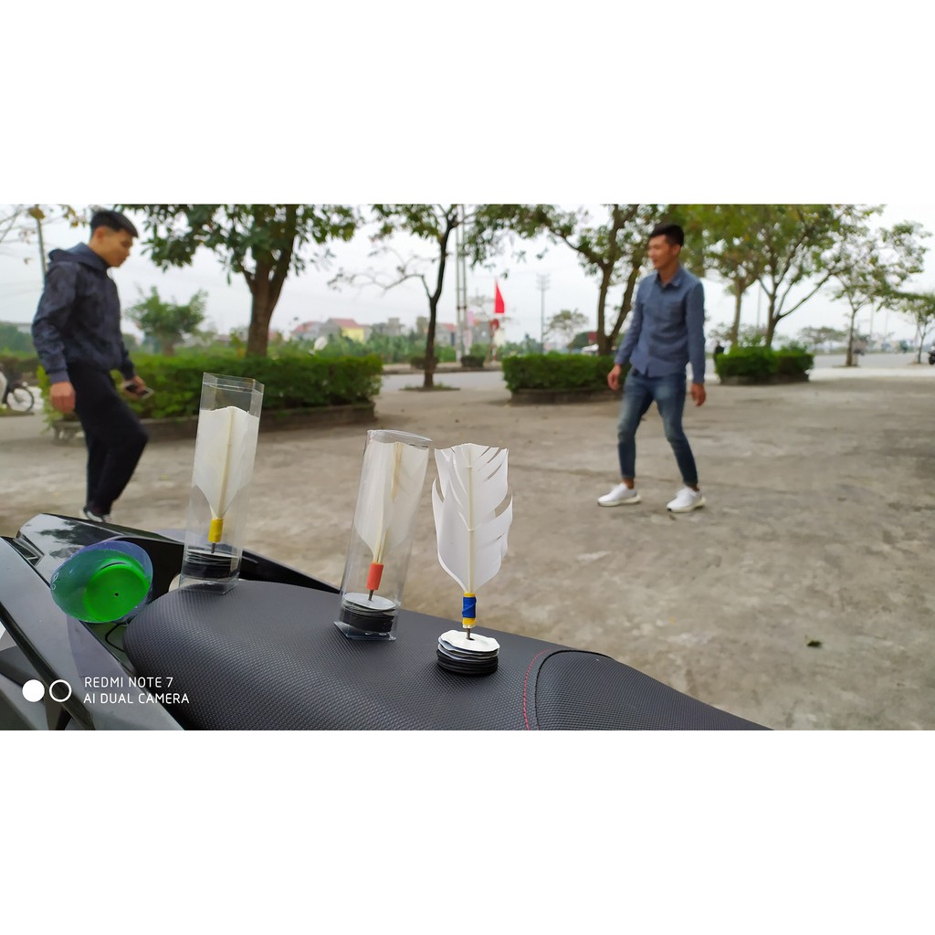 Cầu đá lông gà