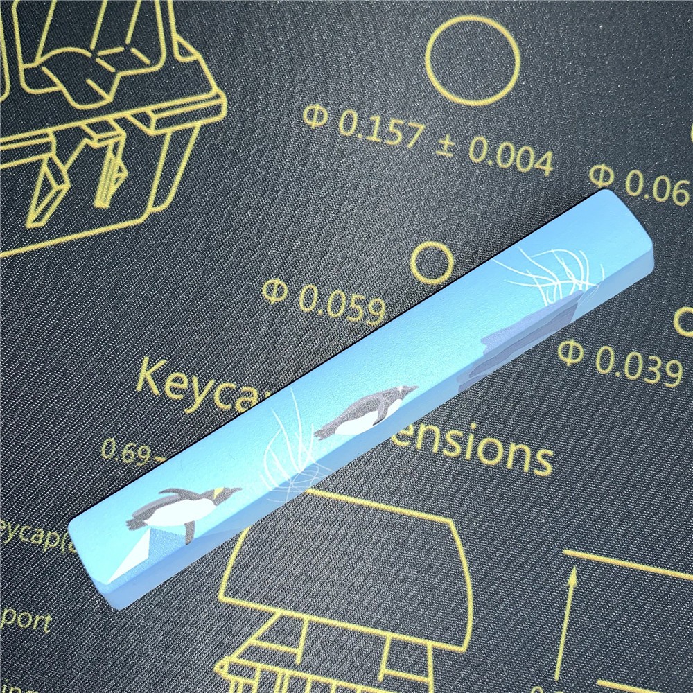 Nút Bấm Bàn Phím Cơ Pbt Oem In Hình Hoa Anh Đào Xinh Xắn | BigBuy360 - bigbuy360.vn