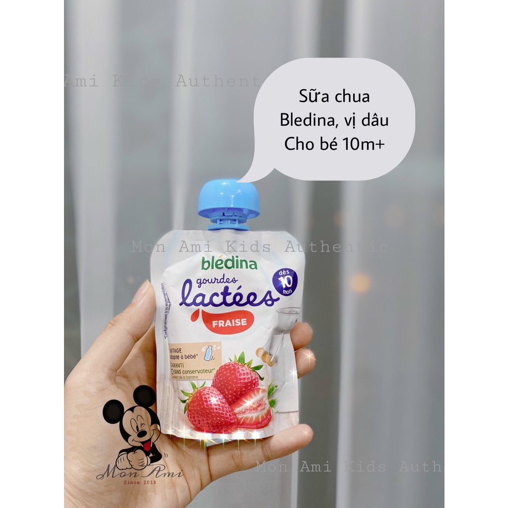 SỮA CHUA BLEDINA DẠNG TÚI CHO BÉ TỪ 10 THÁNG