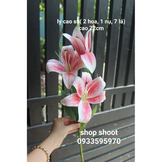 HOA LILY CAO SU TRANG TRÍ NHÀ