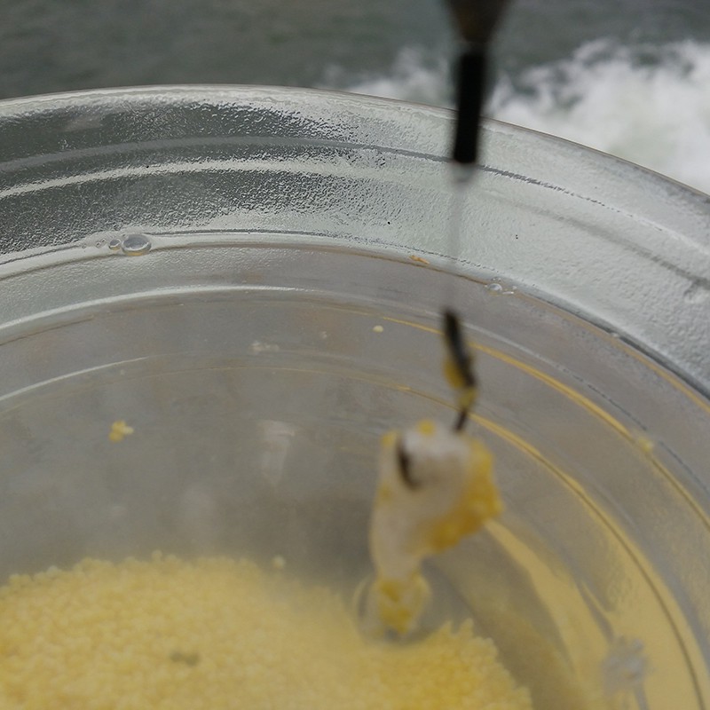 Bộ 50 cái túi PVA đựng mồi câu cá tiện dụng