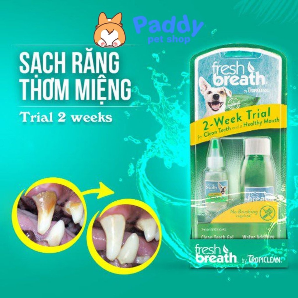 Vệ Sinh Răng Miệng Chó Mèo Tropiclean