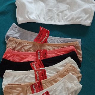 Áo lá + chip học sinh cotton