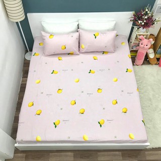 Set Chăn Ga Gối Cotton Lụa !! (Ảnh Chụp Thật)