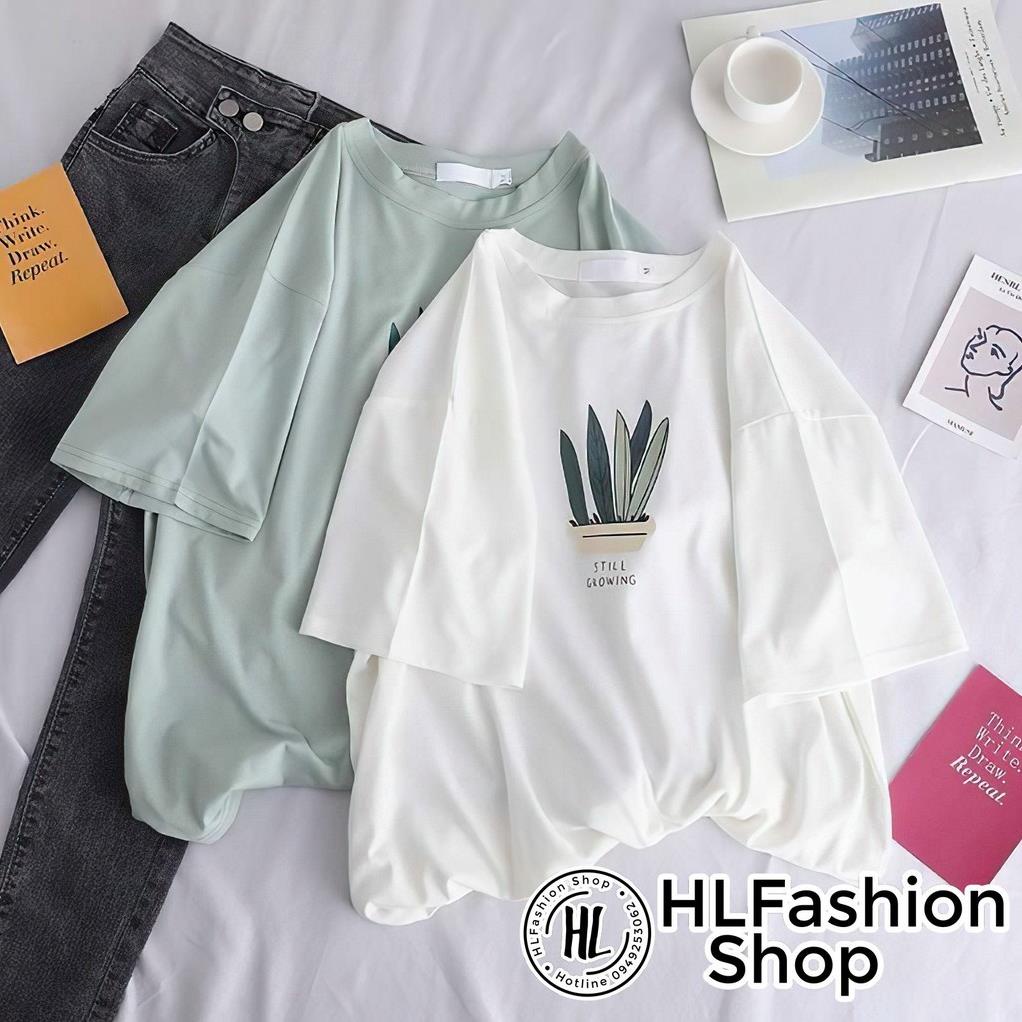 Áo thun tay lỡ form rộng 5 lá cây still growing kute phô mai, áo phông form rộng HLFashion New