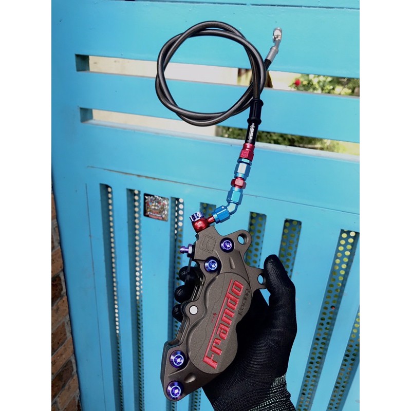 Heo Adein 4pis Mod Frando cực nét