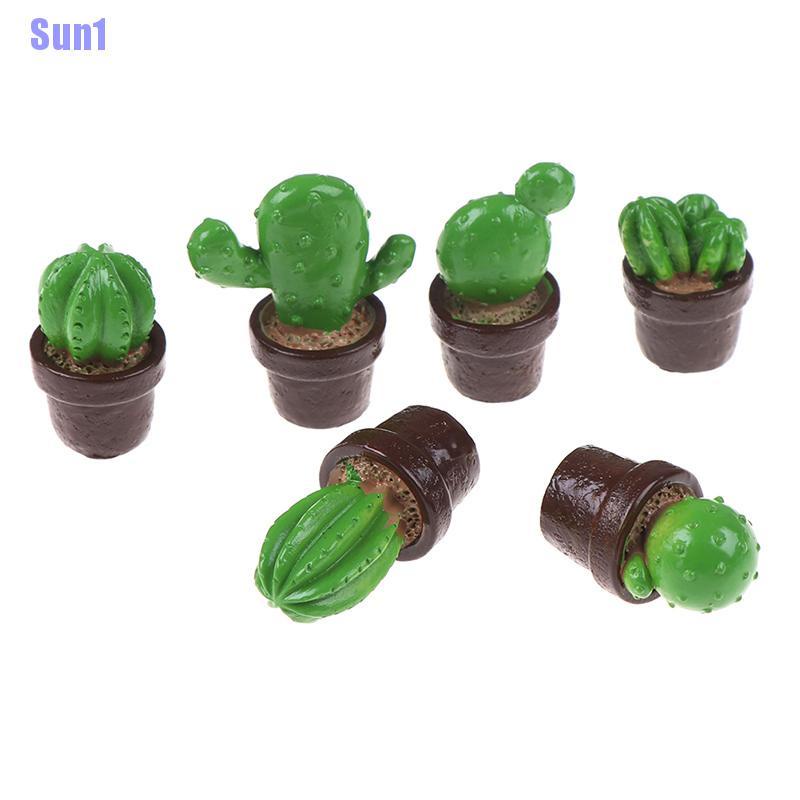 Bộ 5 Cây Xương Rồng mini Trang Trí Nhà Búp Bê