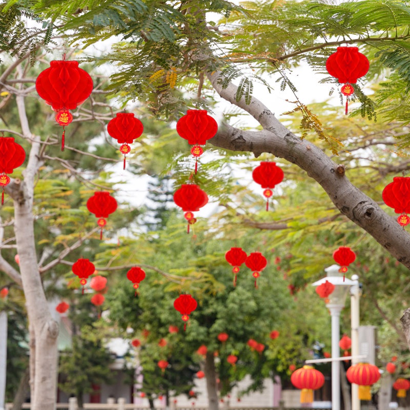 Bộ 10 Lồng Đèn Nhựa Tổ Ong Trang Trí Lễ Hội Mùa Xuân