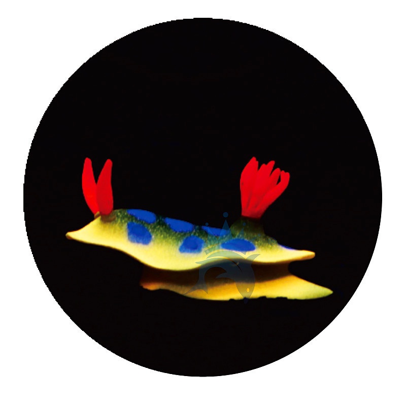 Thỏ Biển Nhựa Phát Quang Trang Trí Bể Cá