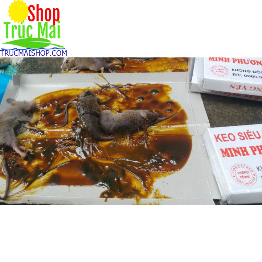 Keo Dính Chuột loại 1 siêu hiệu quả