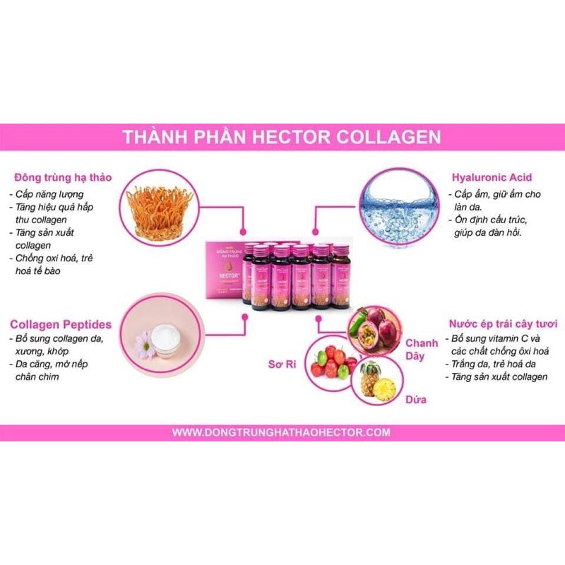 Hector Collagen Đông Trùng Hạ Thảo | BigBuy360 - bigbuy360.vn