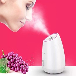 Máy xông hơi mặt mini Maoer