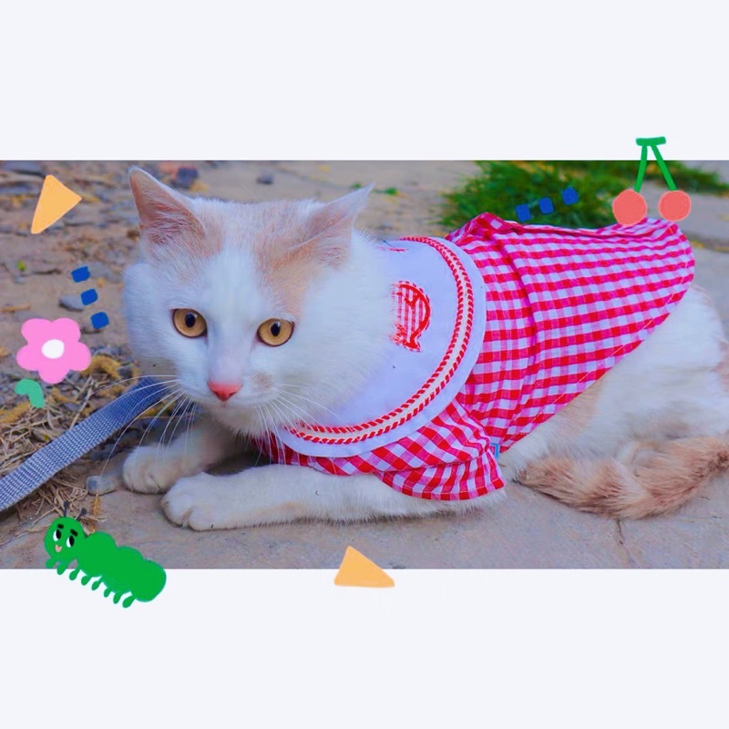 Áo thiết kế cho chó mèo - áo sơ mi Hàn Quốc cổ sen trắng thêu cá dễ thương cho thú cưng