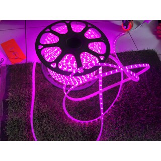 LED DÂY 2835 COMBO 10M LED 2835 CÓ KÈM NGUỒN ĐỨNG
