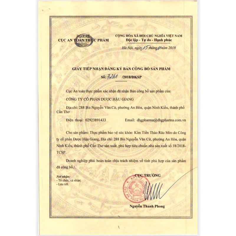 [ Hộp 100 viên] Kim Tiền Thảo Râu Mèo - DHG Pharma
