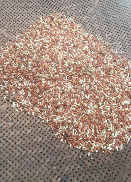 Gạo Nứt Đỏ Dẻo Điện Biên đóng gói 1kg dùng để ăn kiêng, giảm cân,hỗ trợ điều trị tốt cho người bị tiểu đường | BigBuy360 - bigbuy360.vn