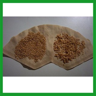 Hạt giống Cà Tím Quả Dài