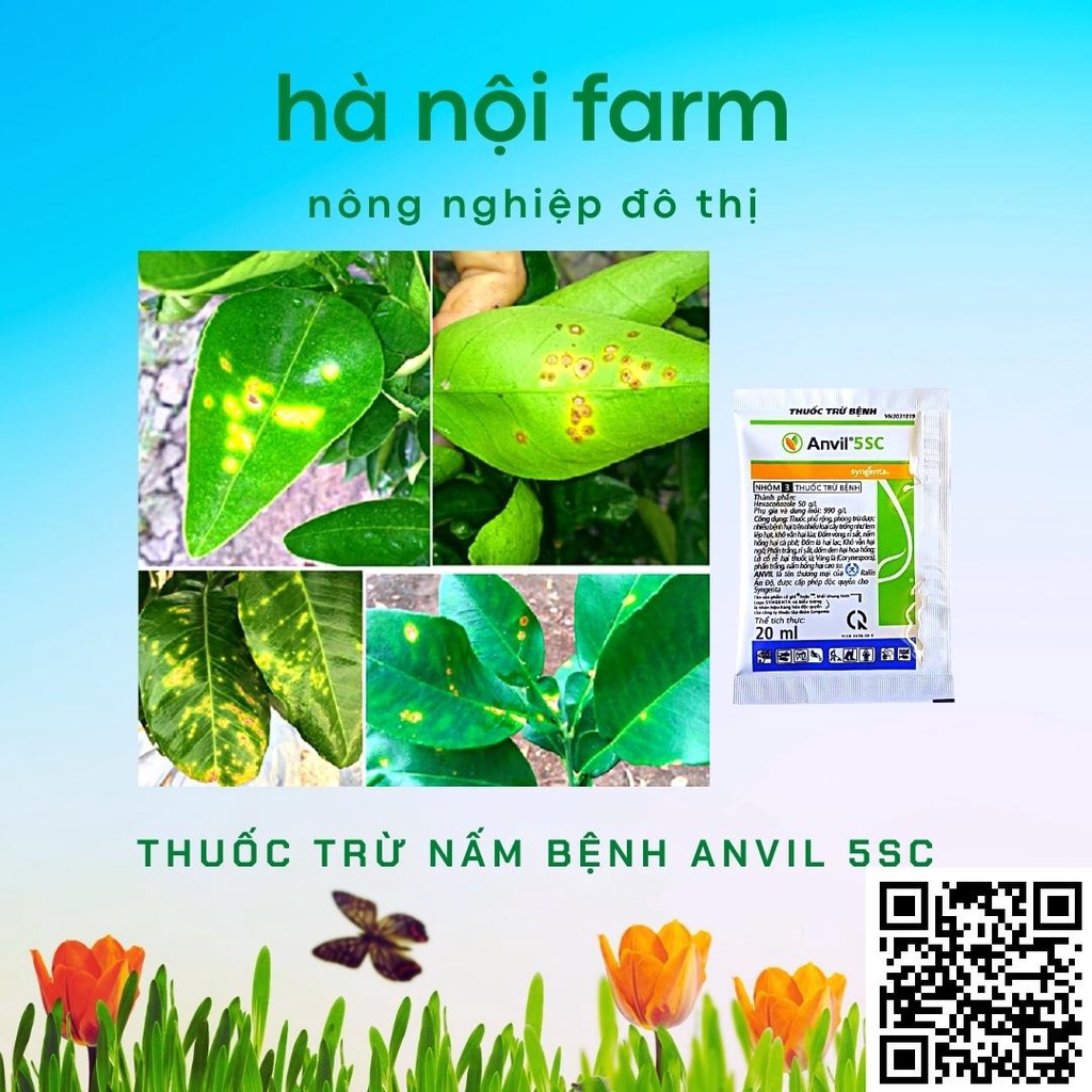 Thuốc trừ nấm bệnh hoa hồng Anvil 5SC chính hãng Syngenta -Ấn Độ. GÓI