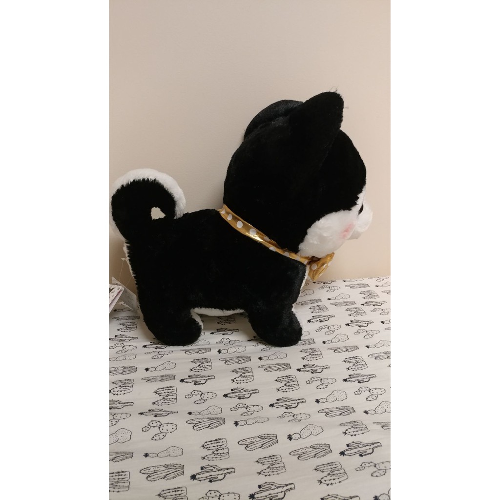 Mameshiba Premium Big Chính Hãng Gấu Bông Nhật Amuse Authentic