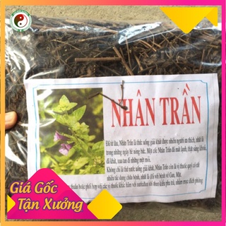 [Giá Tại Kho] Cây Trà Nhân Trần Khô Pha Chè Thanh Nhiệt, Gải Độc, Mát Gan