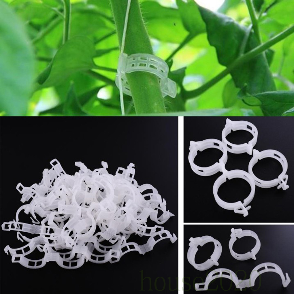Set 50 Kẹp Hỗ Trợ Trồng Cây Tiện Lợi