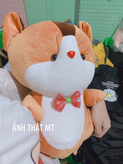 Gấu Bông Sóc Nâu 45Cm Có Ảnh Thật + Video Gấu Bông Hình Thú Cute Ngộ Nghĩnh Size 45 Cm Siêu To Siêu Dễ Thương